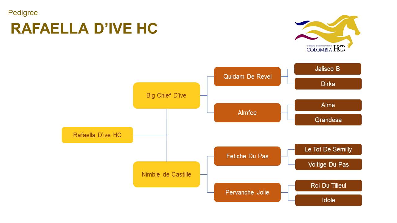 pedigree rafaella dive hc ejemplares a la venta